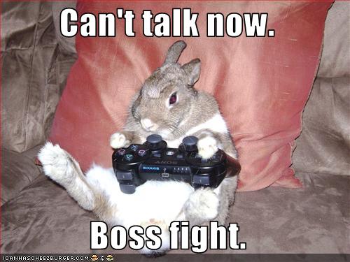 funny-pictures-rabbit-plays-video-games.jpg